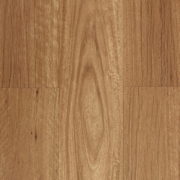 New England Blackbutt Australian Timber Aspire