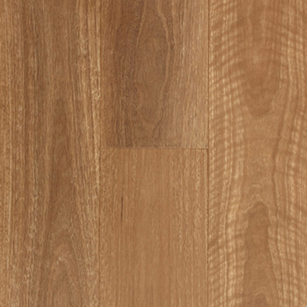 QLD Spotted Gum Australian Timber Aspire 1